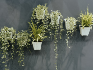 best granny flat garden design sydney - image of vertical wall garden - plants in pots on a grey wall - call premier granny flats today